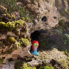 Души моей УлиткО