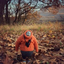 Бегемот и осень