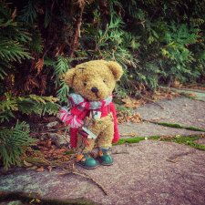 Игип-любить нельзя выкинуть