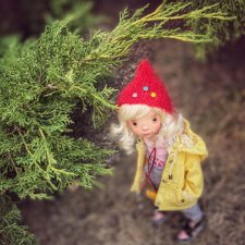 Осенняя Фасоль