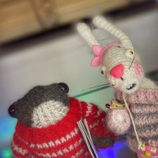 У Носка Варежка