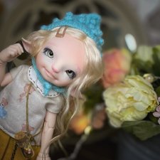 ПанаКота-Realfee Pano