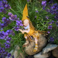 Клара несущая свет