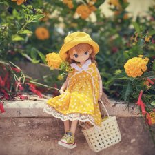 Солнце, лето, море, Mamachapp