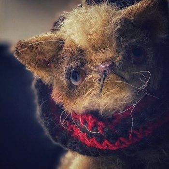 Валеночек Тишка