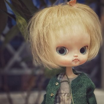 Цыплёночек Dal