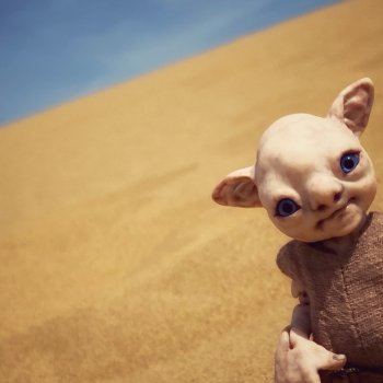 Путешественник