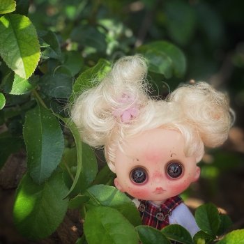 5 минут славы