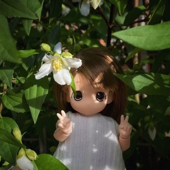 Малышка mamachapp