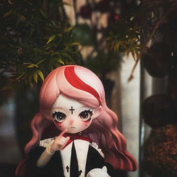 Мои «Коробочки»