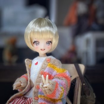 Мои «коробочки»