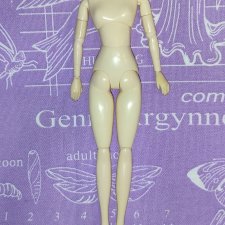 Тело Dal Lipoka