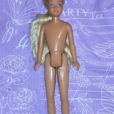 Скиппер винтаж