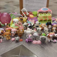 Как я стала коллекционером с 4 лет?