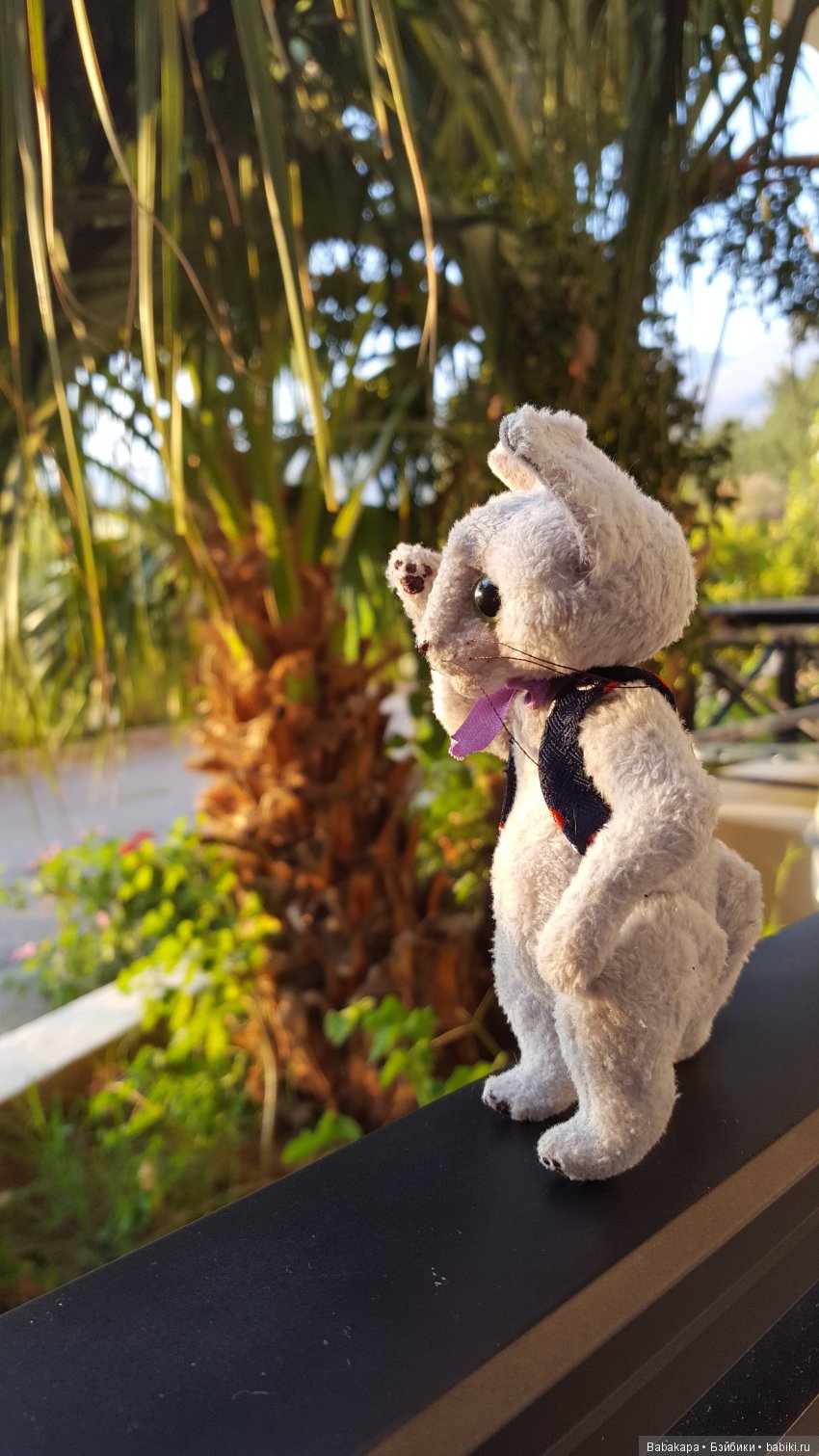 Родной брат вашего котика встречал этим летом рассветы на Кипре. Ох, и путешественники Юлины котики!