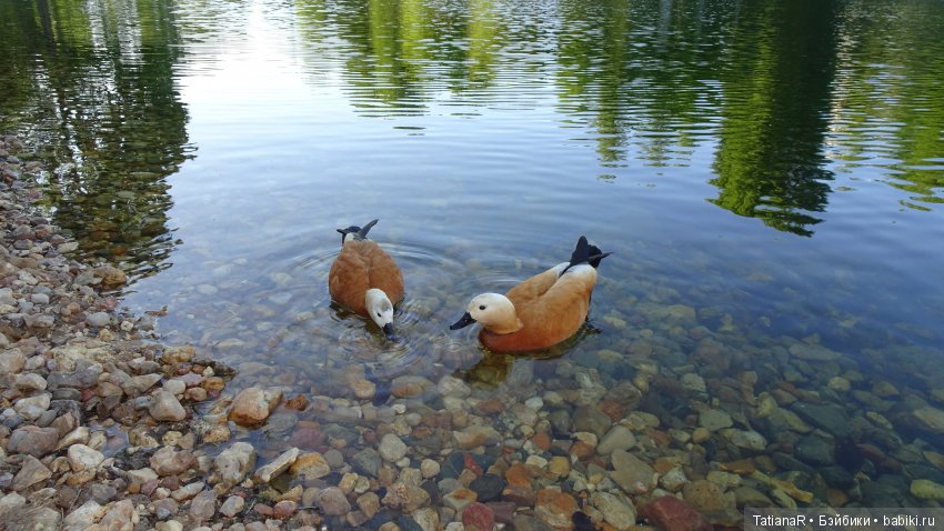 Саша. Sasha Doll — Куклы Sasha Morgenthaler (Саша Моргенталер): Trendon