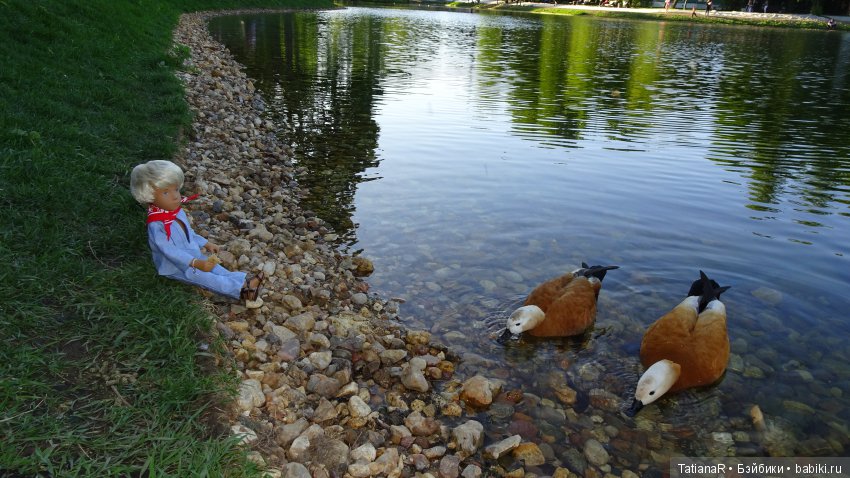 Саша. Sasha Doll — Куклы Sasha Morgenthaler (Саша Моргенталер): Trendon