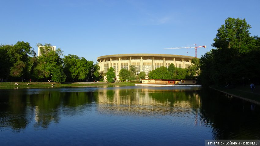 Саша. Sasha Doll — Куклы Sasha Morgenthaler (Саша Моргенталер): Trendon