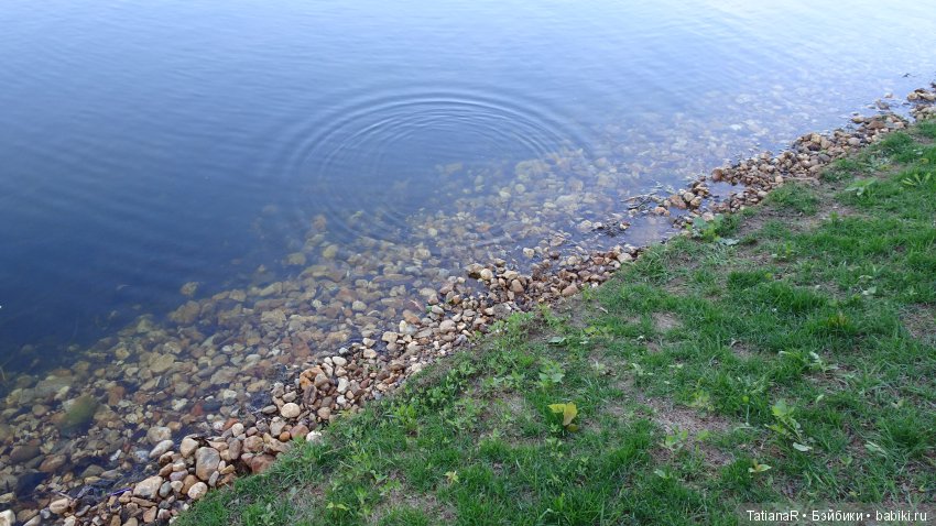 Саша. Sasha Doll — Куклы Sasha Morgenthaler (Саша Моргенталер): Trendon