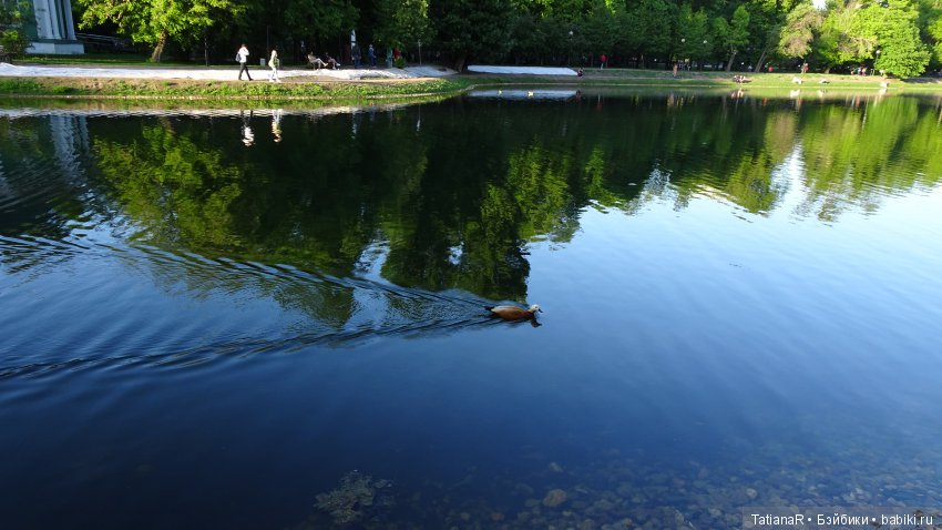 Саша. Sasha Doll — Куклы Sasha Morgenthaler (Саша Моргенталер): Trendon