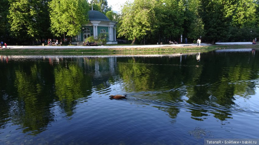 Саша. Sasha Doll — Куклы Sasha Morgenthaler (Саша Моргенталер): Trendon