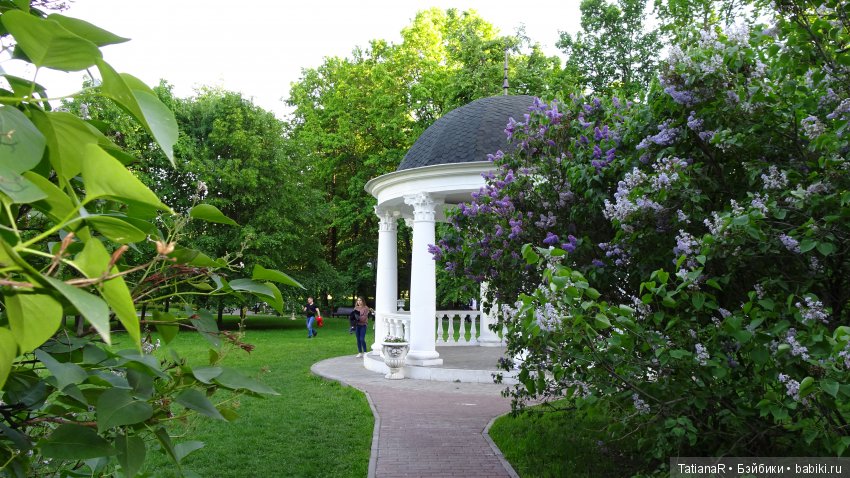 Саша. Sasha Doll — Куклы Sasha Morgenthaler (Саша Моргенталер): Trendon