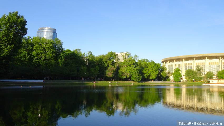 Саша. Sasha Doll — Куклы Sasha Morgenthaler (Саша Моргенталер): Trendon