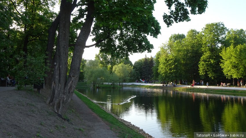 Саша. Sasha Doll — Куклы Sasha Morgenthaler (Саша Моргенталер): Trendon