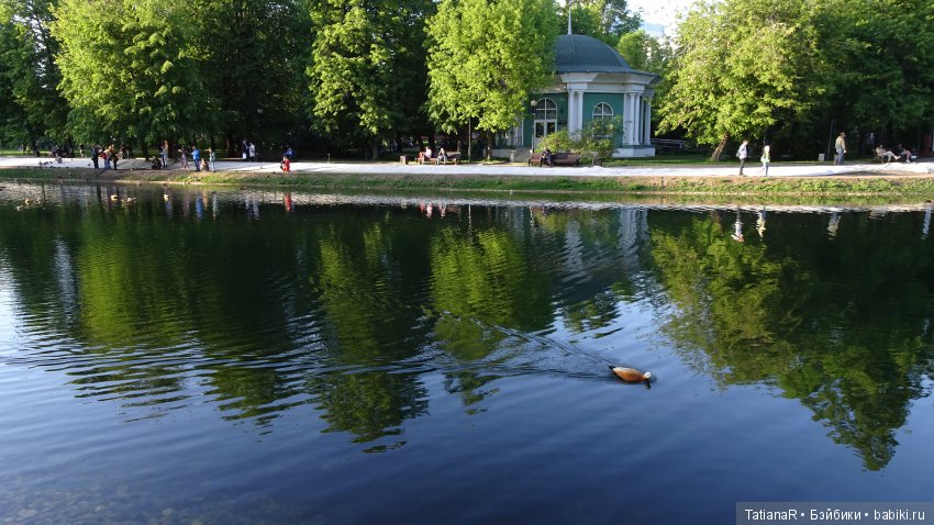 Саша. Sasha Doll — Куклы Sasha Morgenthaler (Саша Моргенталер): Trendon