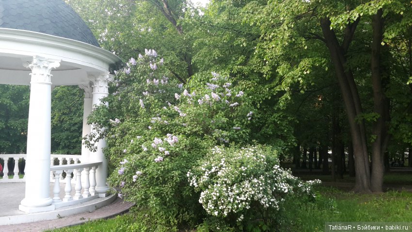 Саша. Sasha Doll — Куклы Sasha Morgenthaler (Саша Моргенталер): Trendon