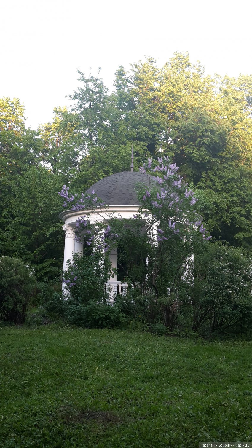 Саша. Sasha Doll — Куклы Sasha Morgenthaler (Саша Моргенталер): Trendon