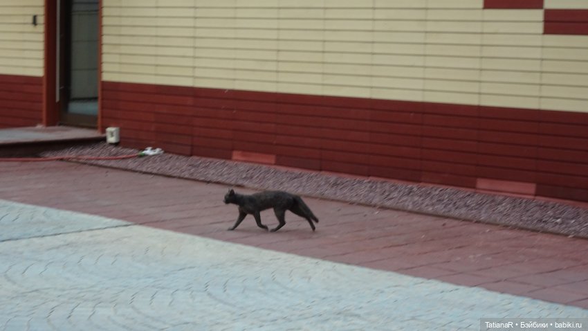 Маруся и Сюрприз. Вихтели Розмари Мюллер | Бэйбики Маруся и Сюрприз. Вихтели Розмари Мюллер