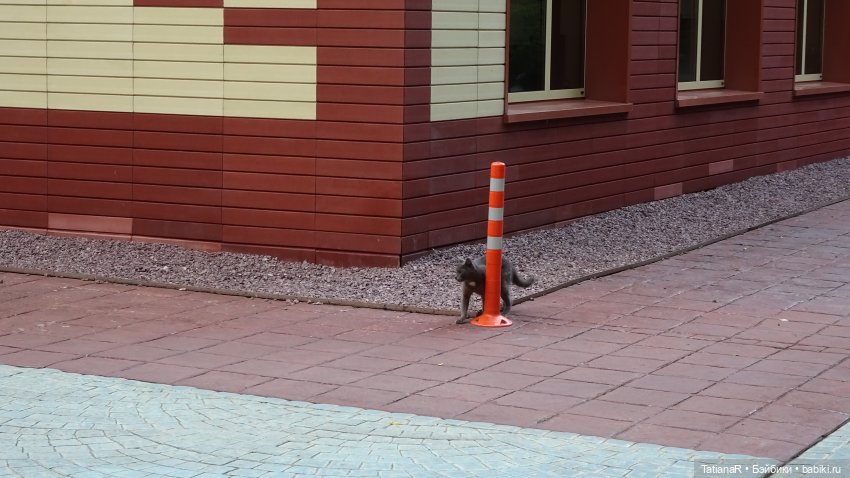 Маруся и Сюрприз. Вихтели Розмари Мюллер | Бэйбики Маруся и Сюрприз. Вихтели Розмари Мюллер