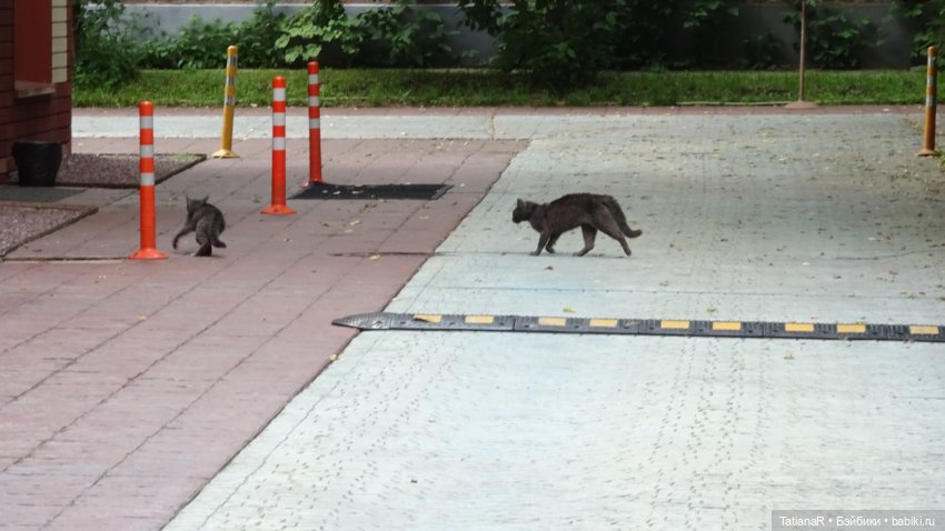 Маруся и Сюрприз. Вихтели Розмари Мюллер | Бэйбики Маруся и Сюрприз. Вихтели Розмари Мюллер