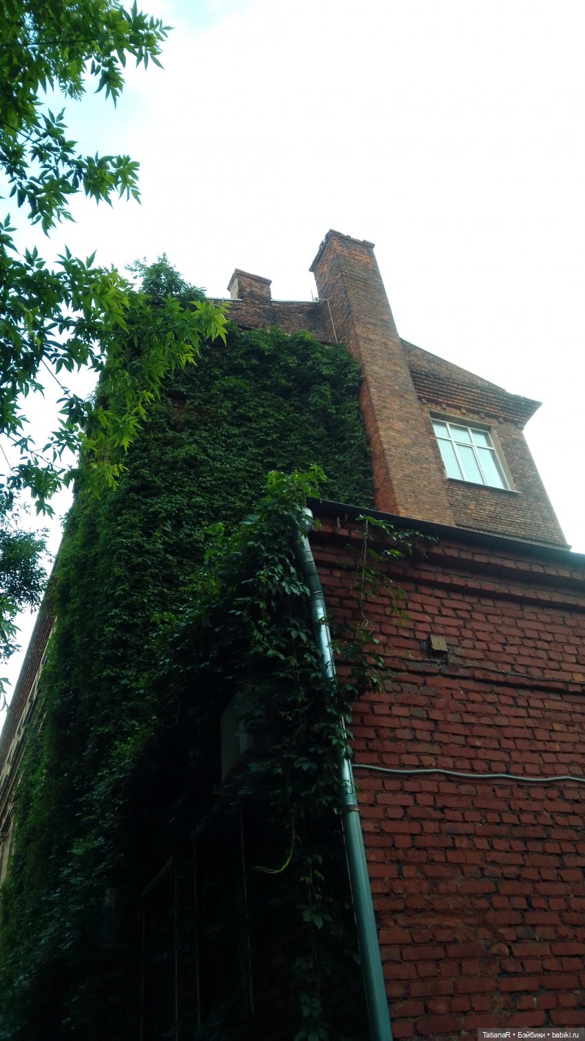 Маруся и Сюрприз. Вихтели Розмари Мюллер | Бэйбики Маруся и Сюрприз. Вихтели Розмари Мюллер