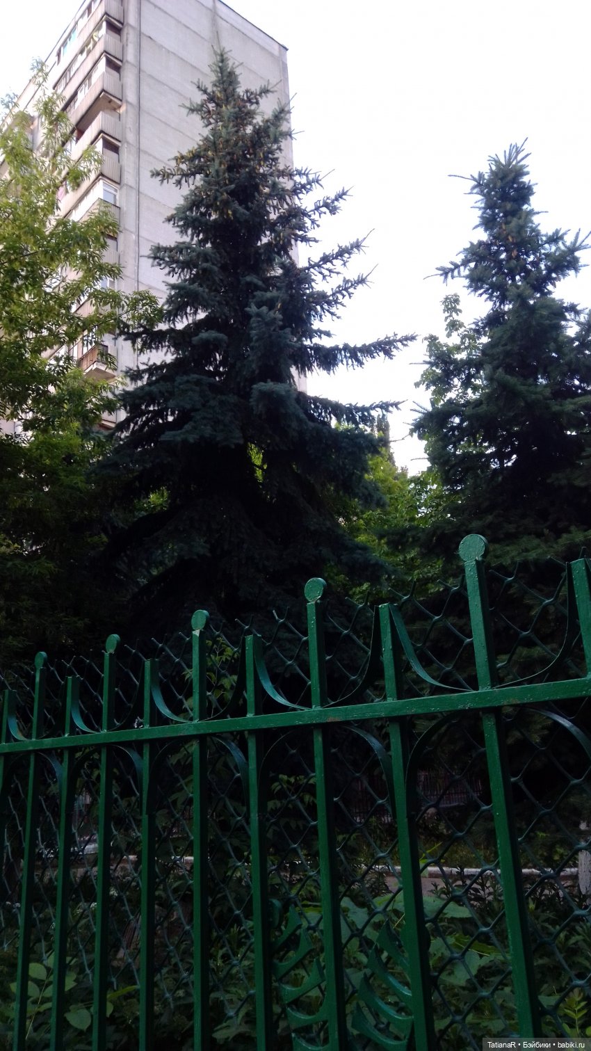 Маруся и Сюрприз. Вихтели Розмари Мюллер | Бэйбики Маруся и Сюрприз. Вихтели Розмари Мюллер