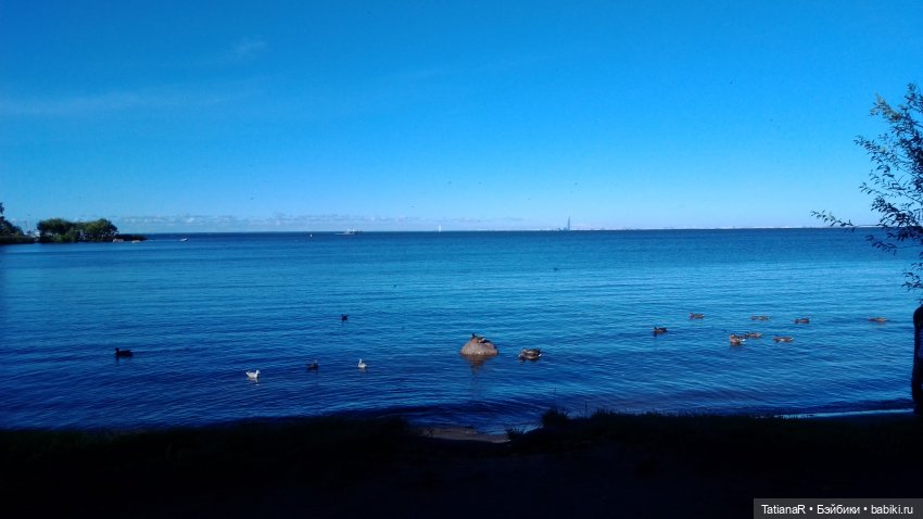 Про Петергоф. И советский эксклюзив. Кирово-Чепецкая шарнирная кукла