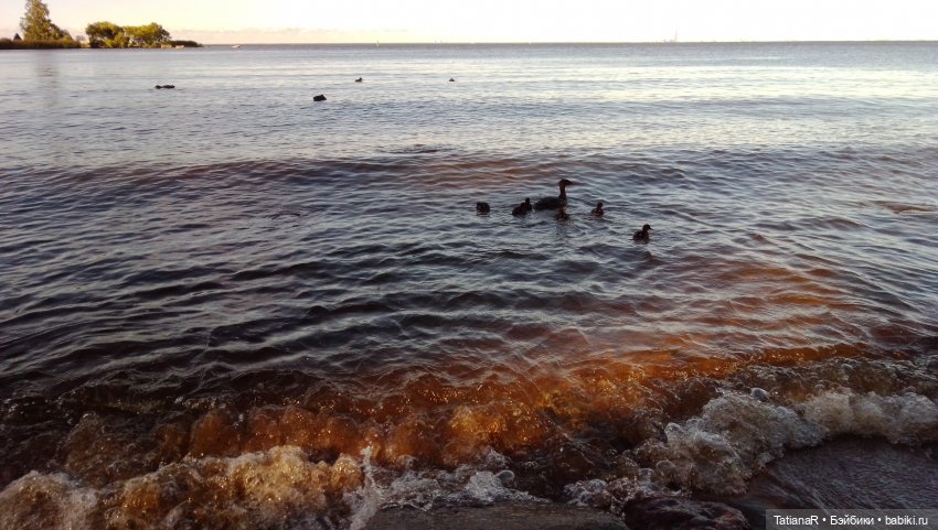Про Петергоф. И советский эксклюзив. Кирово-Чепецкая шарнирная кукла