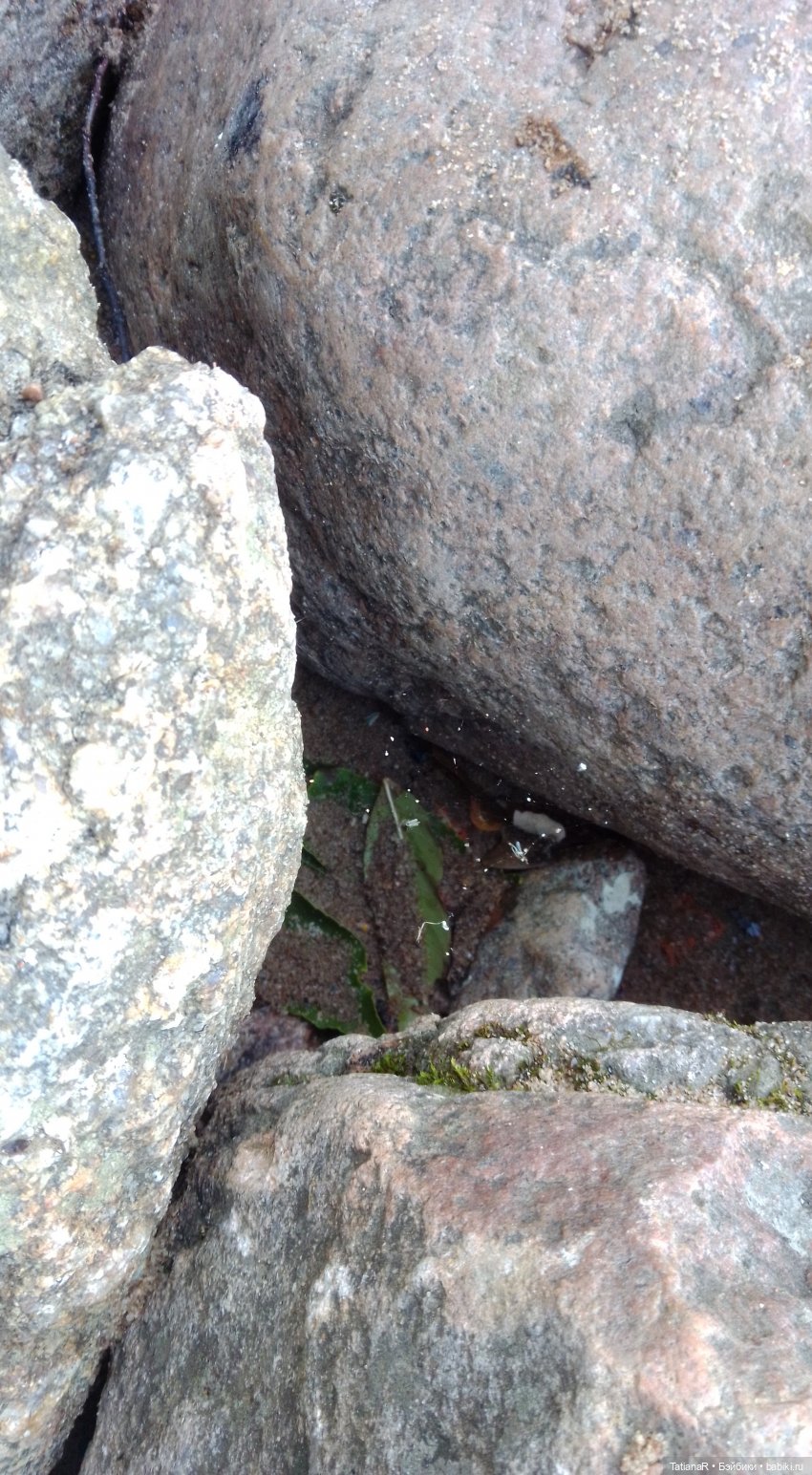 Про Петергоф. И советский эксклюзив. Кирово-Чепецкая шарнирная кукла