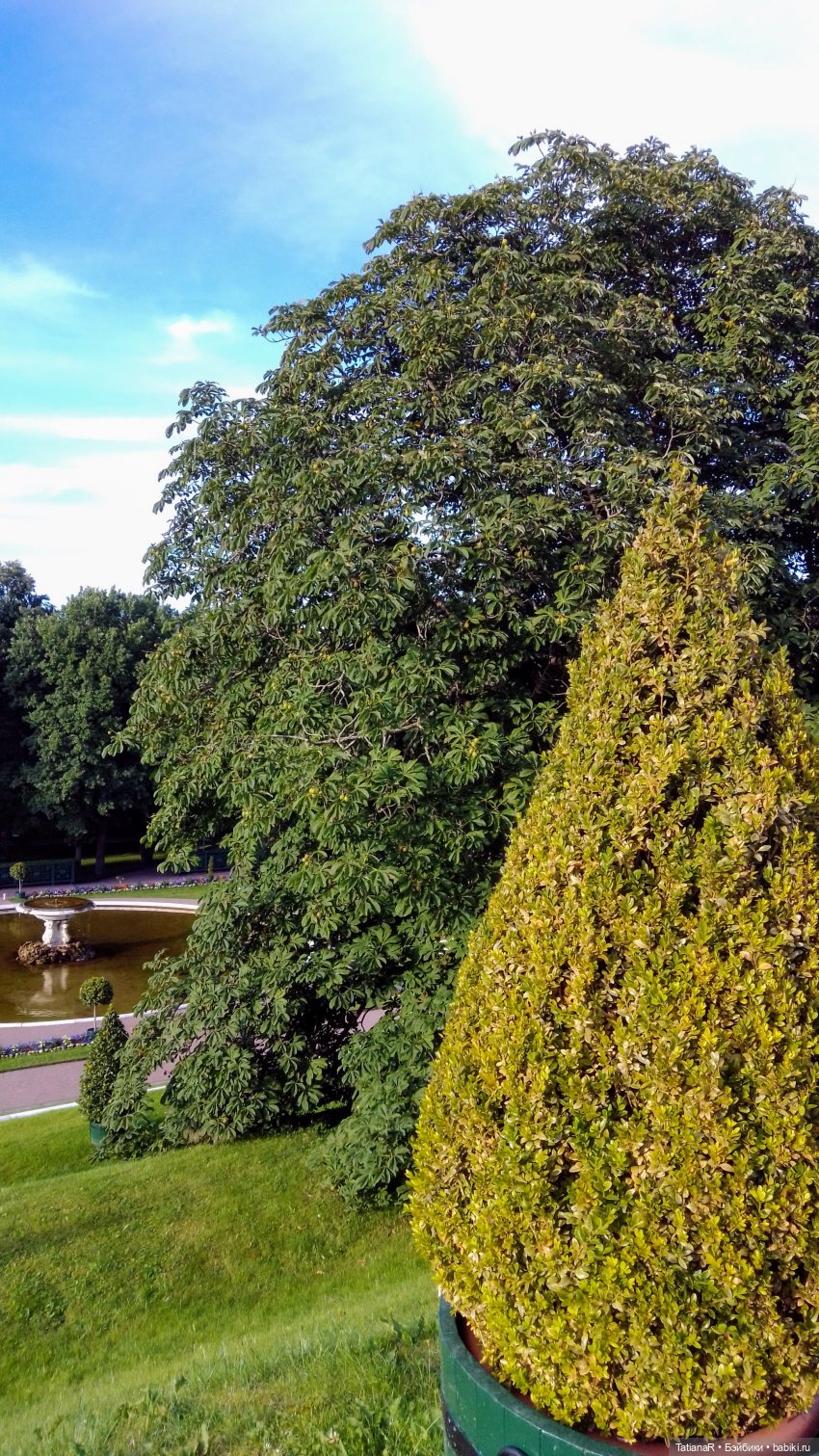 Про Петергоф. И советский эксклюзив. Кирово-Чепецкая шарнирная кукла