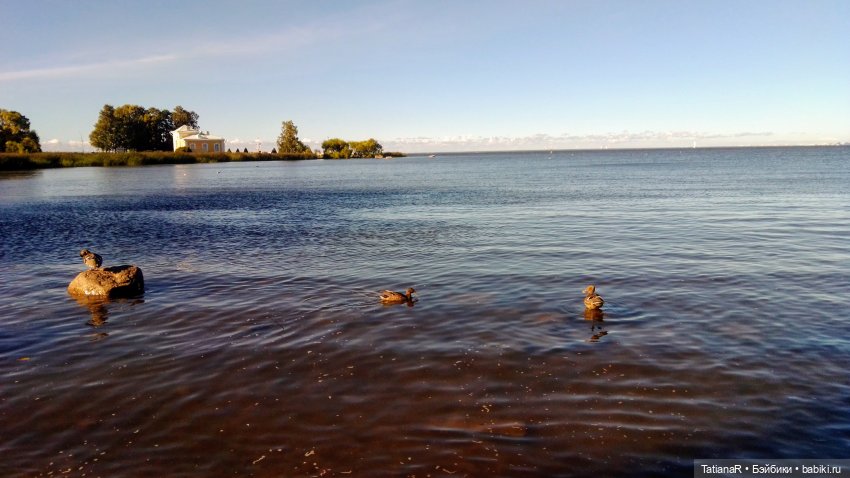 Про Петергоф. И советский эксклюзив. Кирово-Чепецкая шарнирная кукла