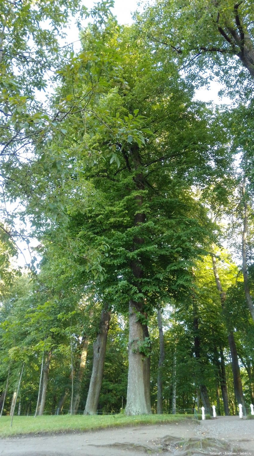 Про Петергоф. И советский эксклюзив. Кирово-Чепецкая шарнирная кукла