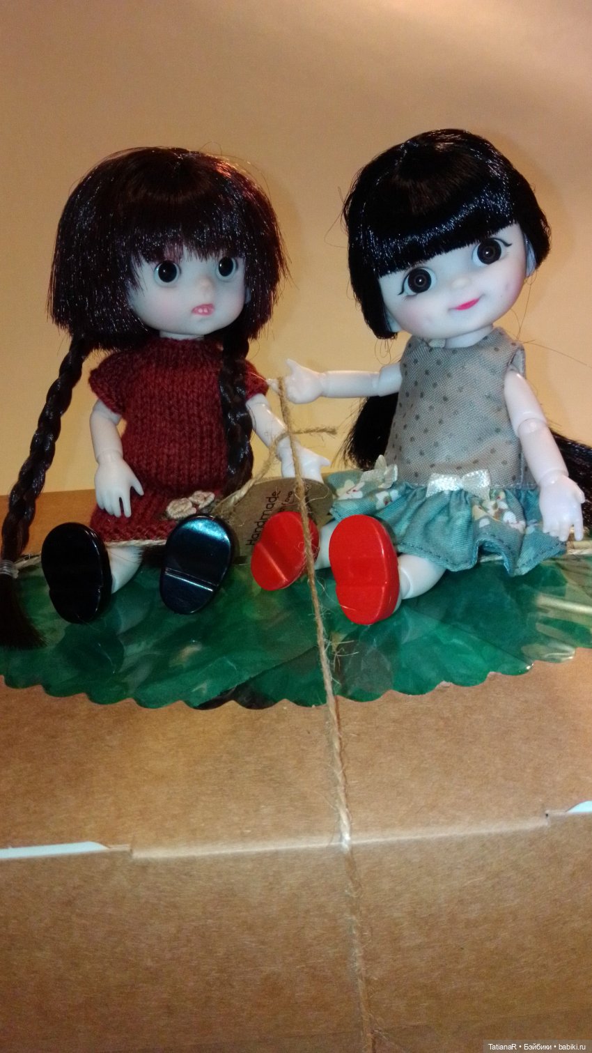 Баболи и я. Удивительное рядом