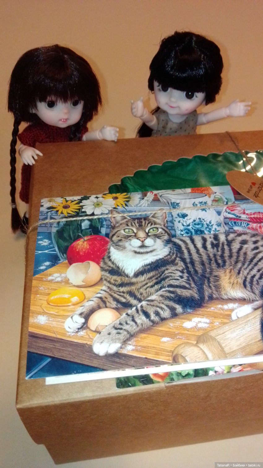 Баболи и я. Удивительное рядом (фото 8)