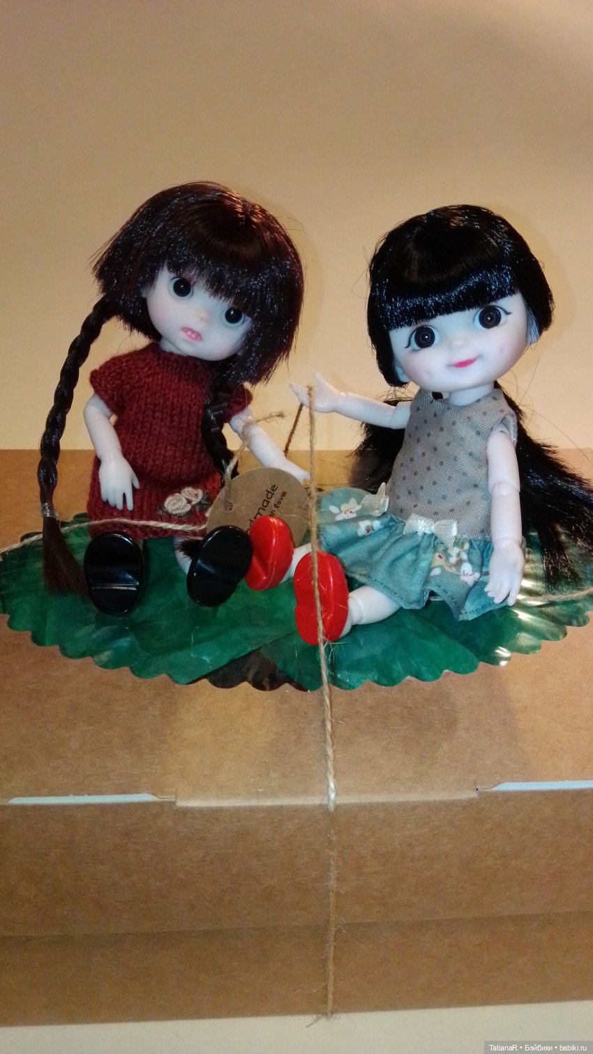 Баболи и я. Удивительное рядом