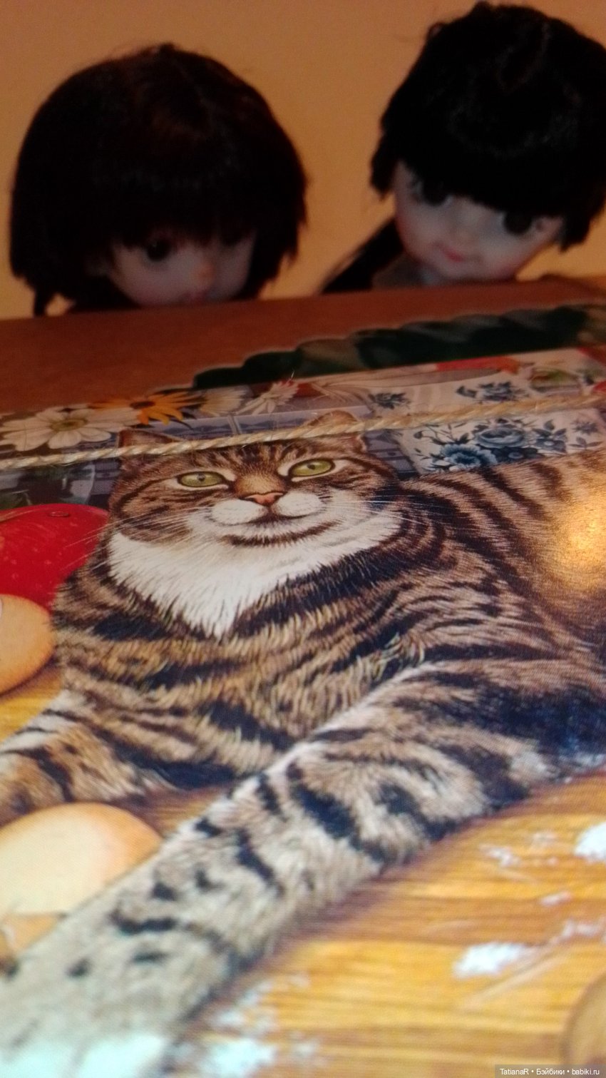 Баболи и я. Удивительное рядом (фото 4)