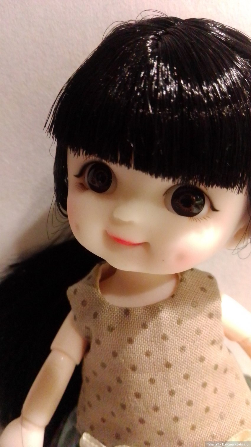 Баболи и я. Удивительное рядом