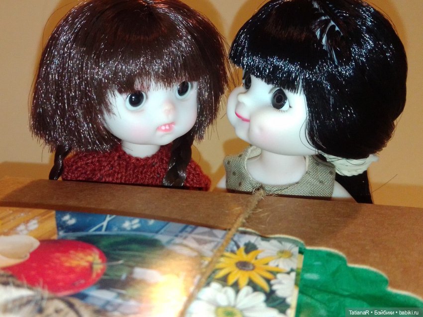 Баболи и я. Удивительное рядом (фото 2)