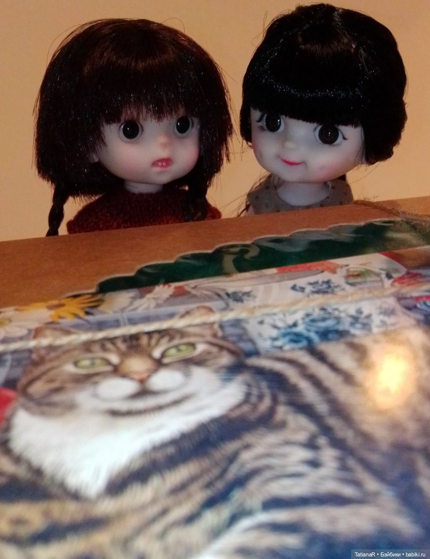 Баболи и я. Удивительное рядом (фото 3)