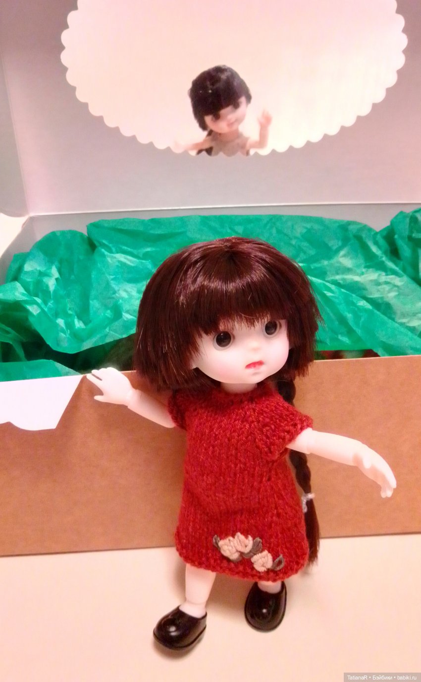 Баболи и я. Удивительное рядом